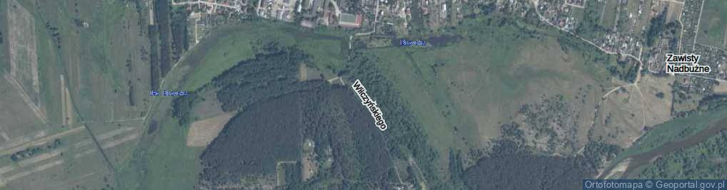 Zdjęcie satelitarne Wilczyńskiego ul.